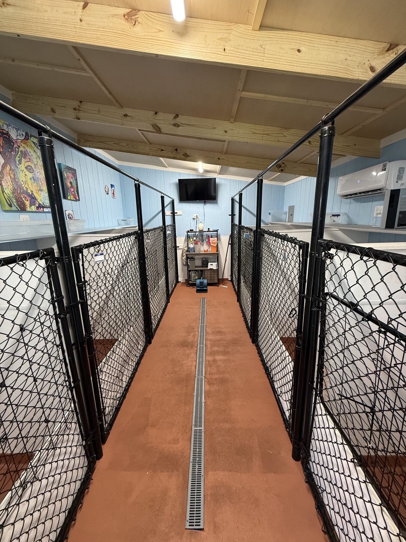The air-conditioned indoor kennel room where dogs sleep
